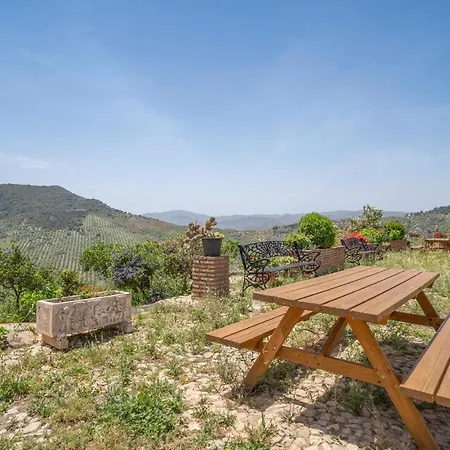 1 Bedroom Amazing In Apartment *